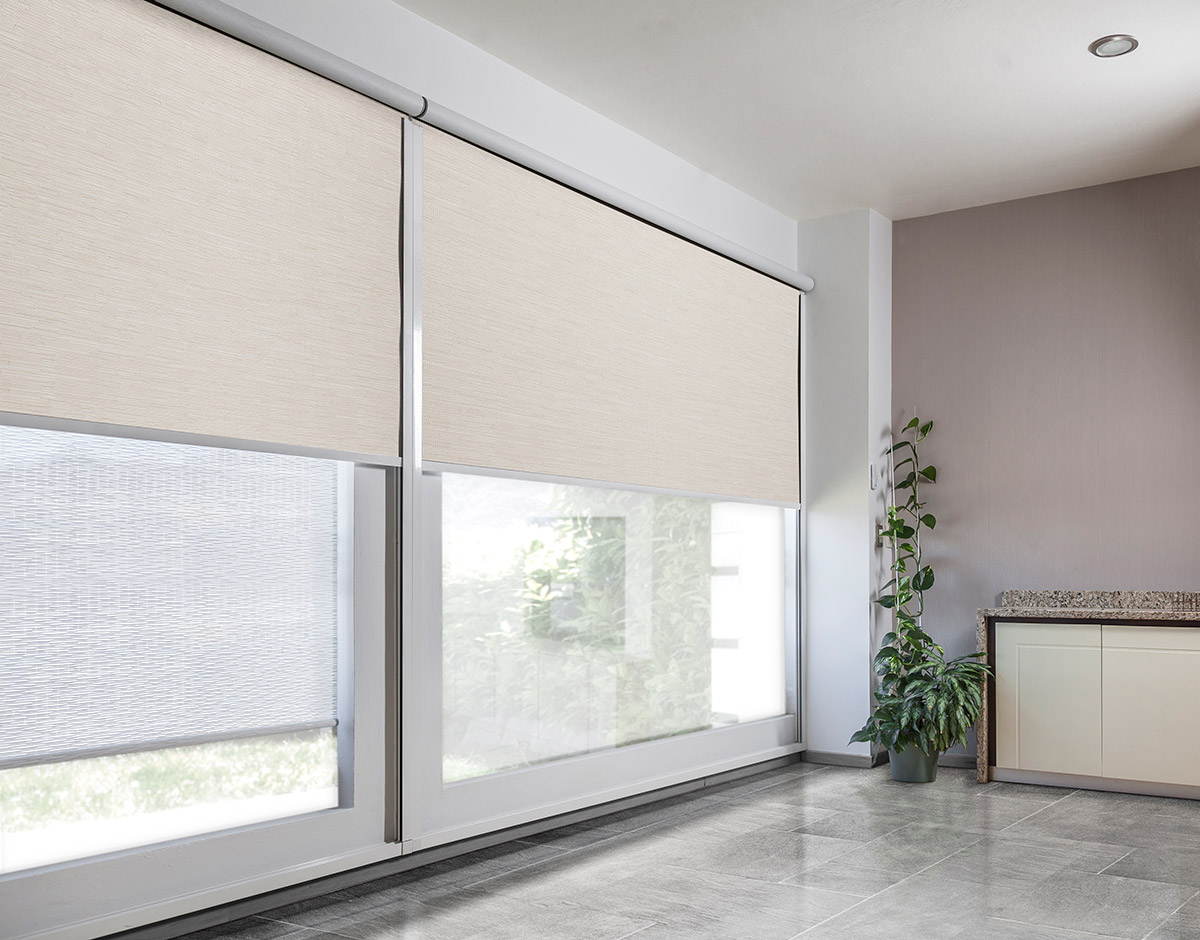 ENROLLABLE_DRIFTWOOD_CHALK_RENDER