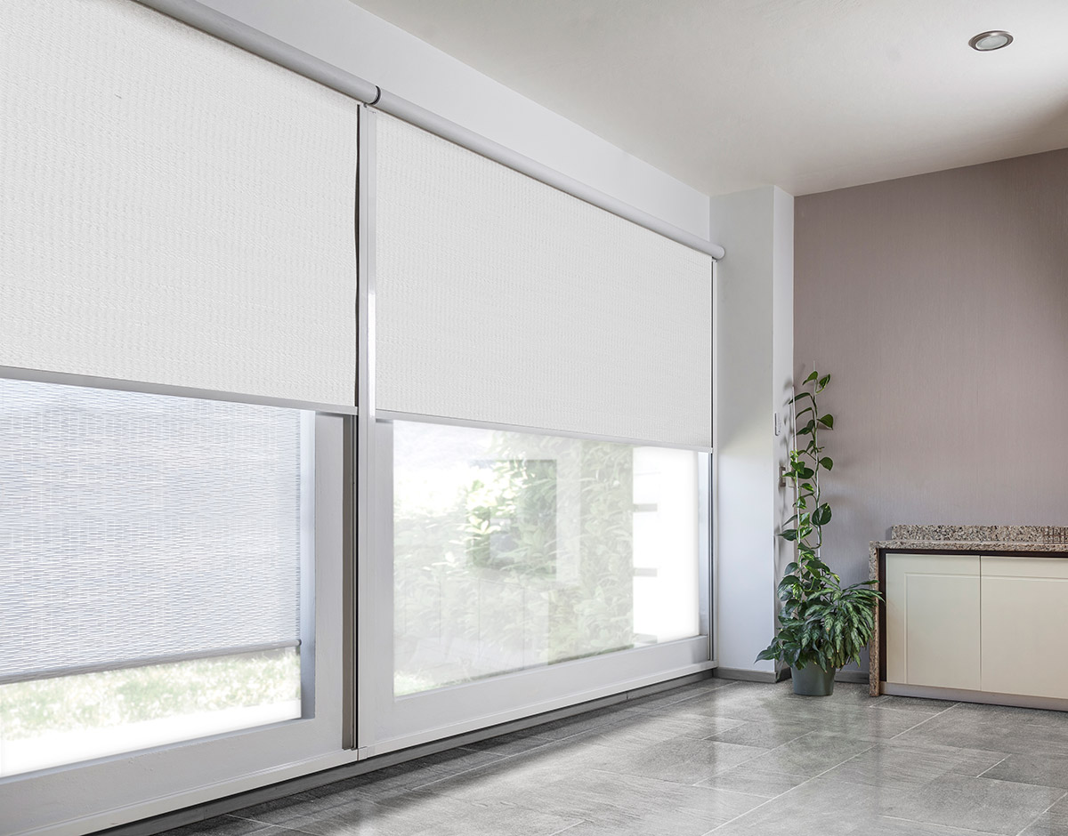 ENROLLABLE_DRIFTWOOD_NATURAL_RENDER