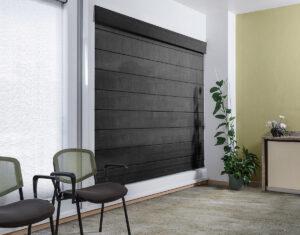 ROMANAPLANA_PREMIUMSCREEN_ZAFIRO_RENDER