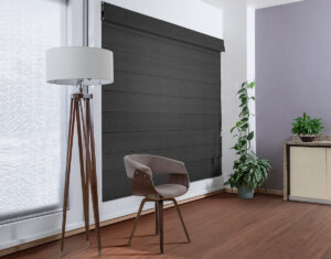 ROMANAPLANA_SCREEN4000_CHARCOAL_RENDER