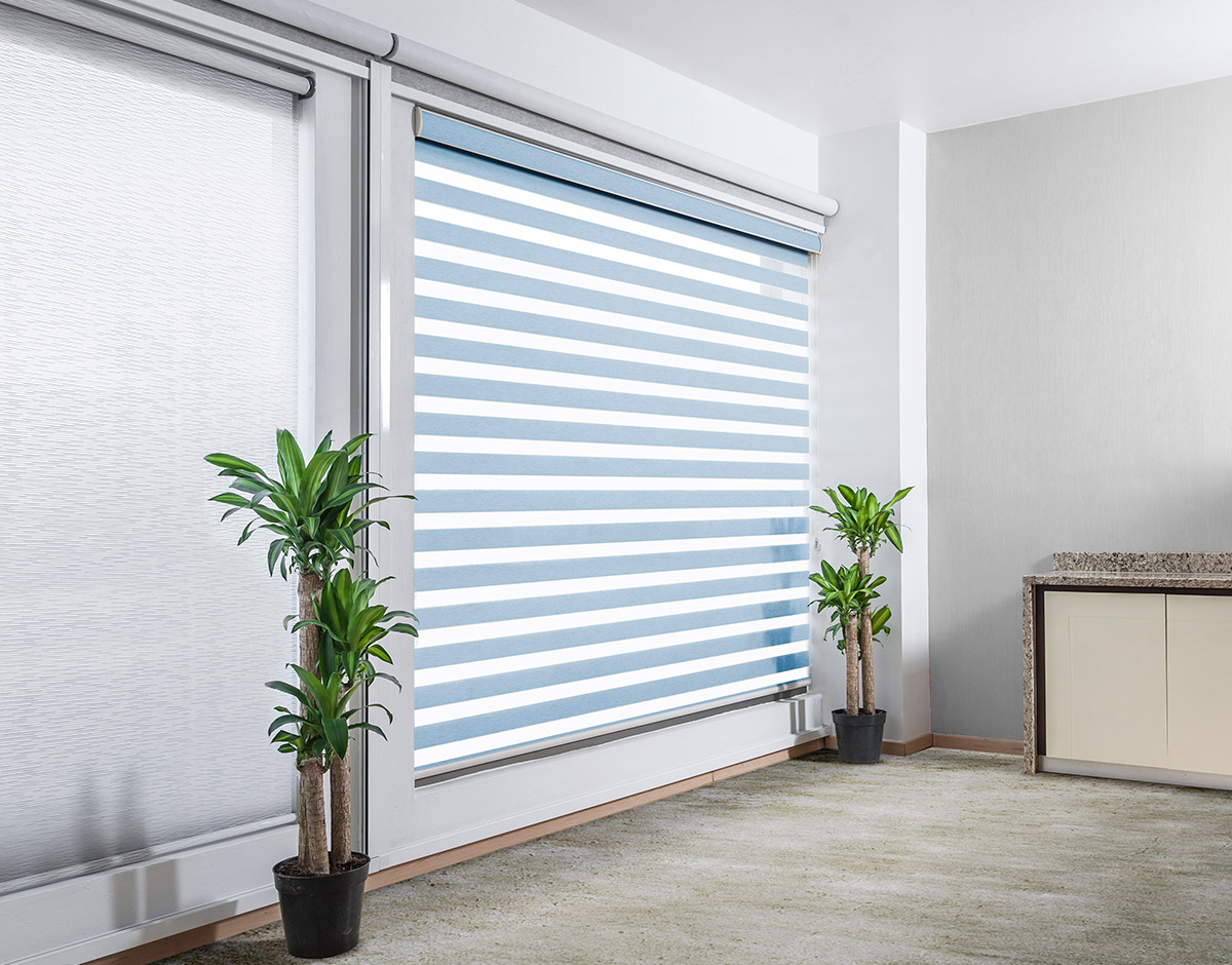 SHEARELEGANCE_REGULAR_BLUE_RENDER