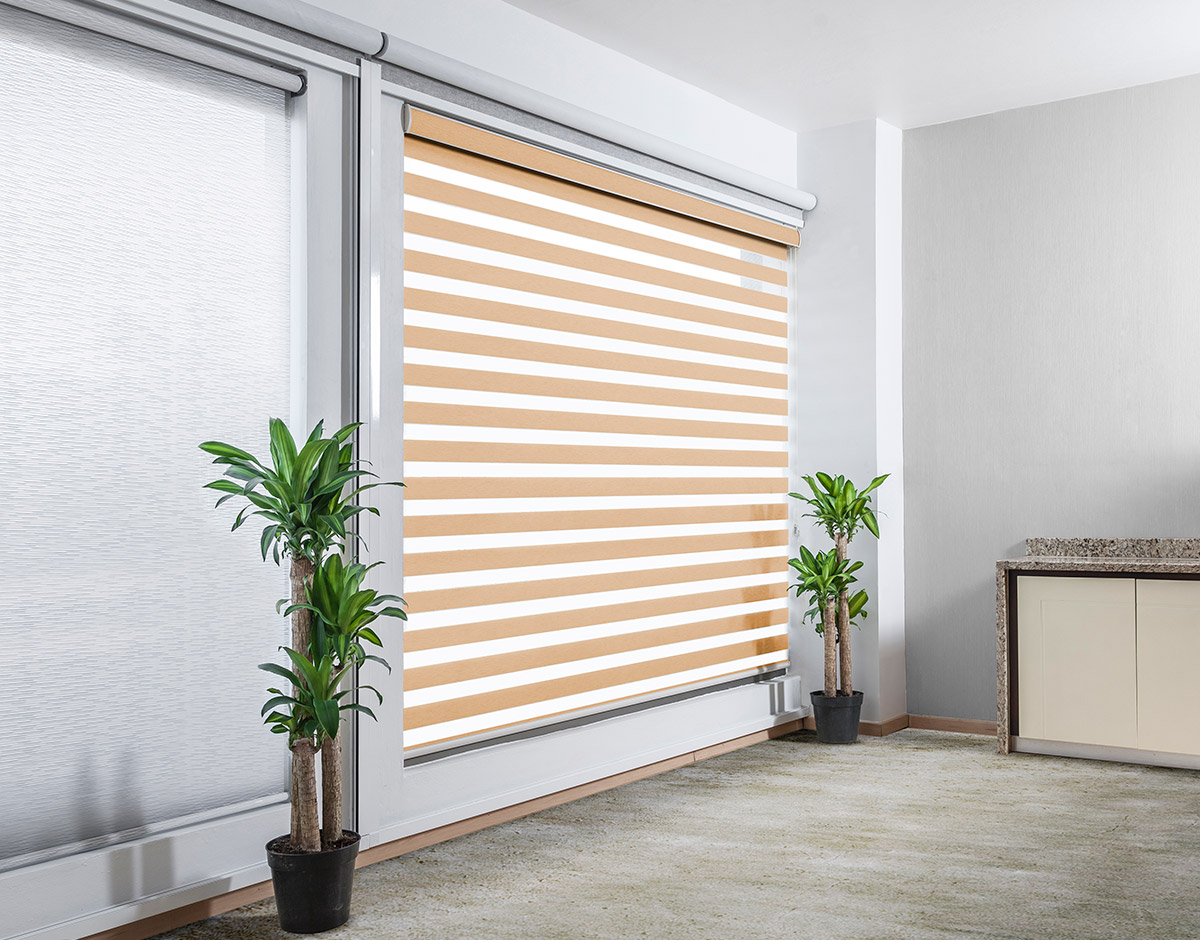 SHEARELEGANCE_REGULAR_CAJETA_RENDER