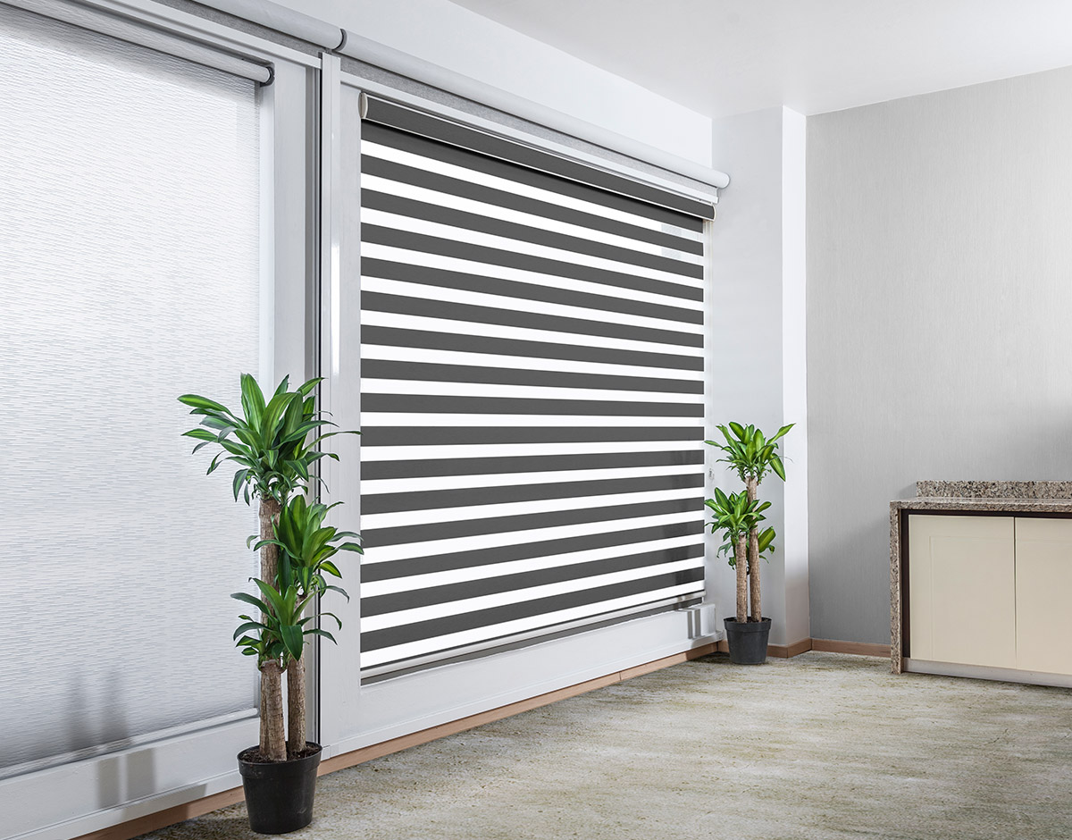 SHEARELEGANCE_REGULAR_DARKGREY_RENDER