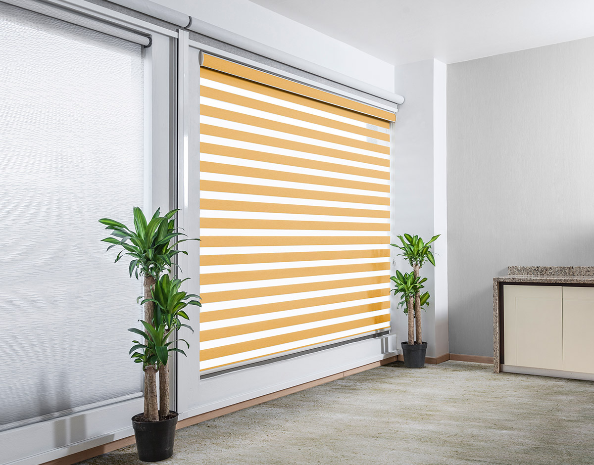 SHEARELEGANCE_REGULAR_MUSTARD_RENDER