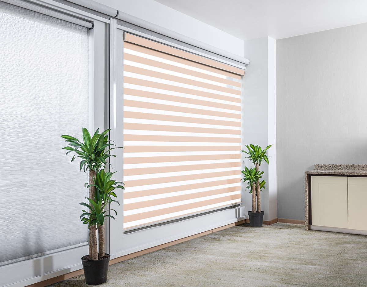 SHEARELEGANCE_REGULAR_PEACH_RENDER