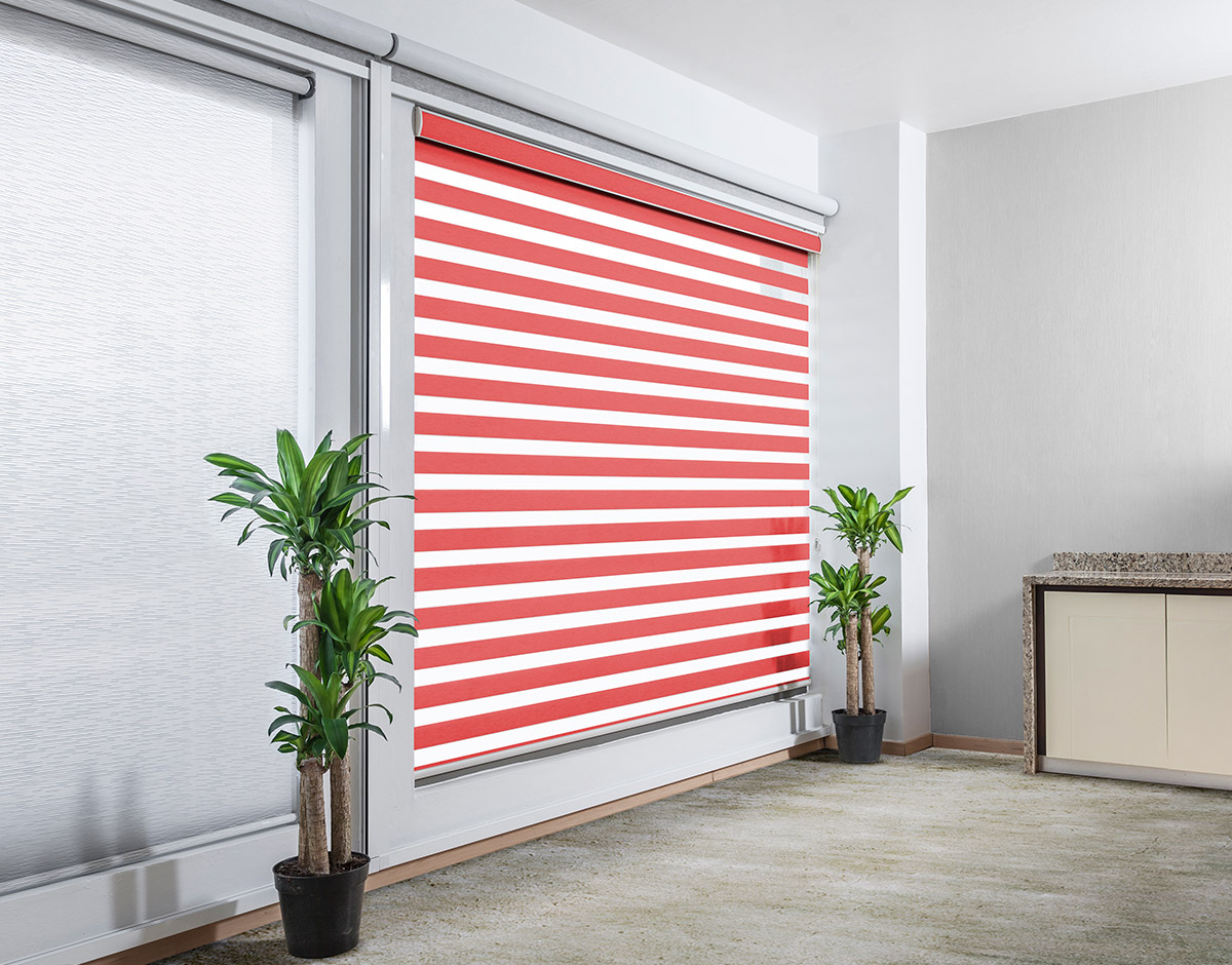 SHEARELEGANCE_REGULAR_RED_RENDER