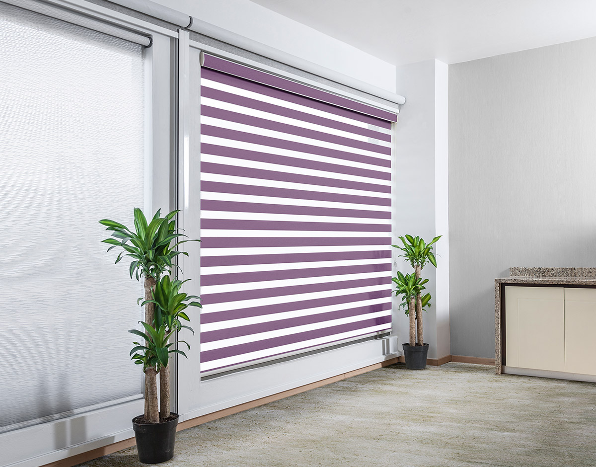 SHEARELEGANCE_REGULAR_UVA_RENDER