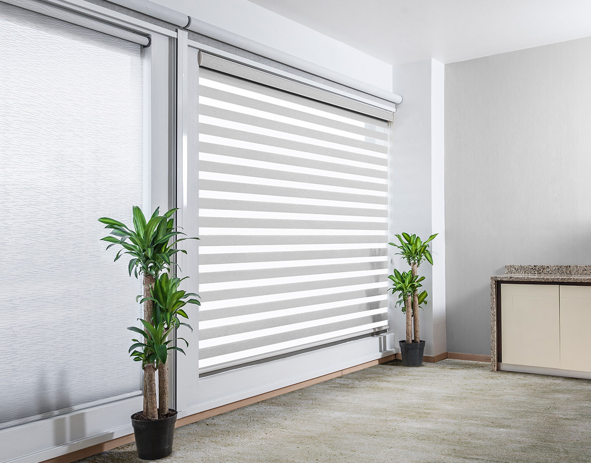 SHEARELEGANCE_REGULAR_WHITE_RENDER