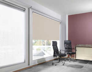 enrollable_tamina2_CHALK_RENDER