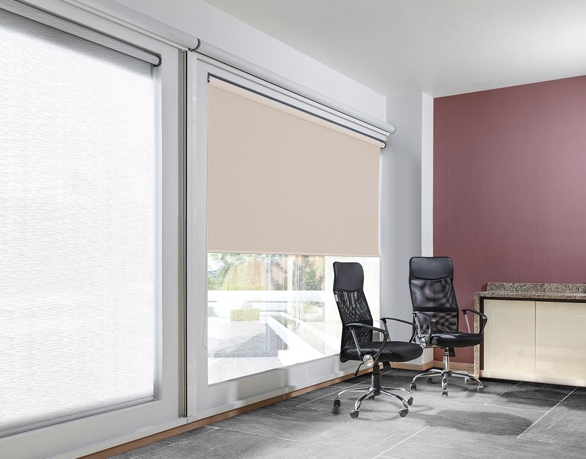 enrollable_tamina2_CHALK_RENDER