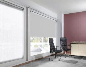 enrollable_tamina_silver_RENDER