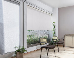 enrollable_zircon_GRAY_RENDER