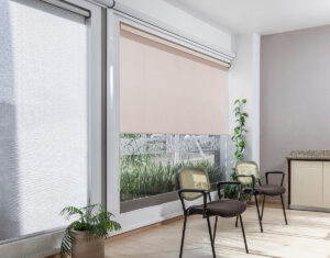 enrollable_zircon_PEACH_RENDER