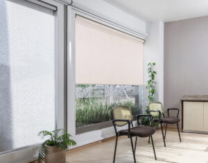 enrollable_zircon_ivory_RENDER